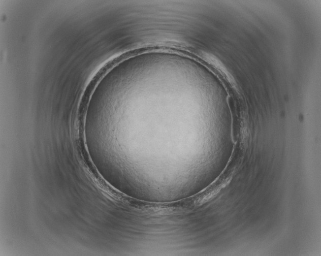 X0000081300924200701251714