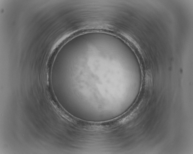 X0000081300925200701251714