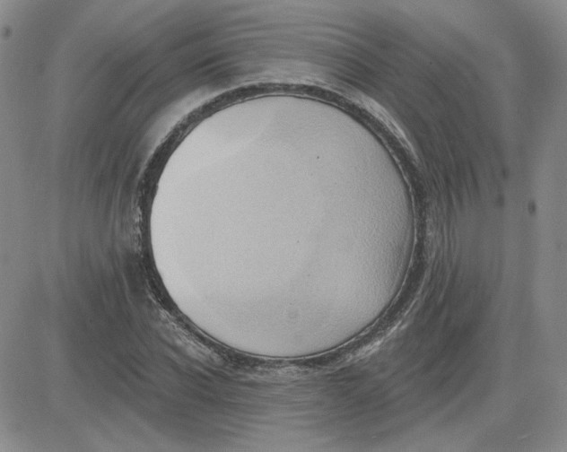 X0000081300926200701251714