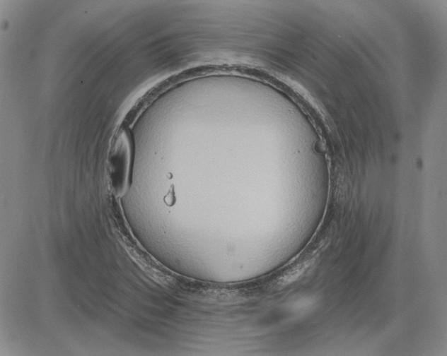 X0000081300927200701251714