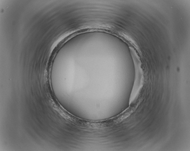 X0000081300928200701251714