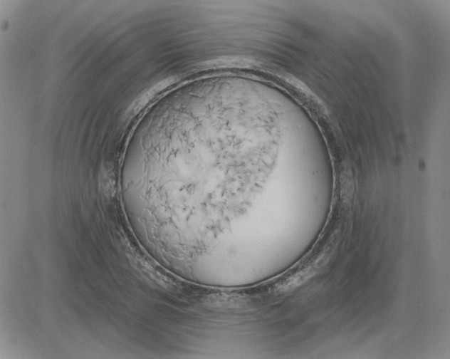 X0000081300929200701251714