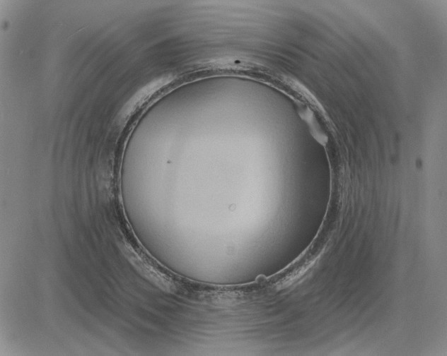 X0000081300930200701251714