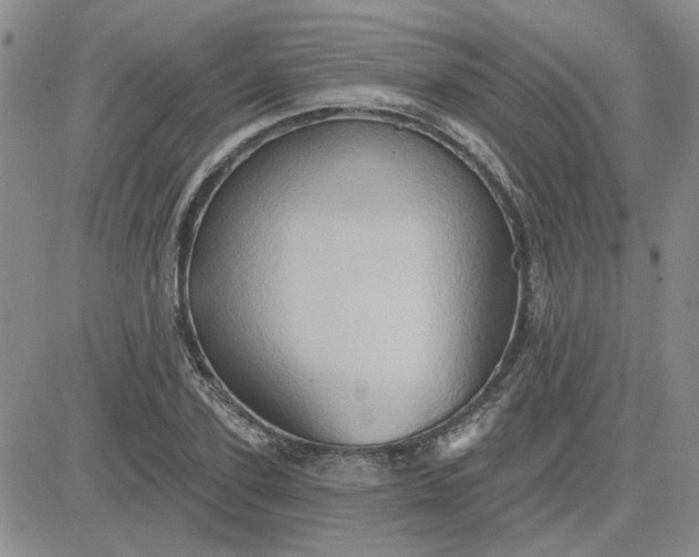 X0000081300931200701251714