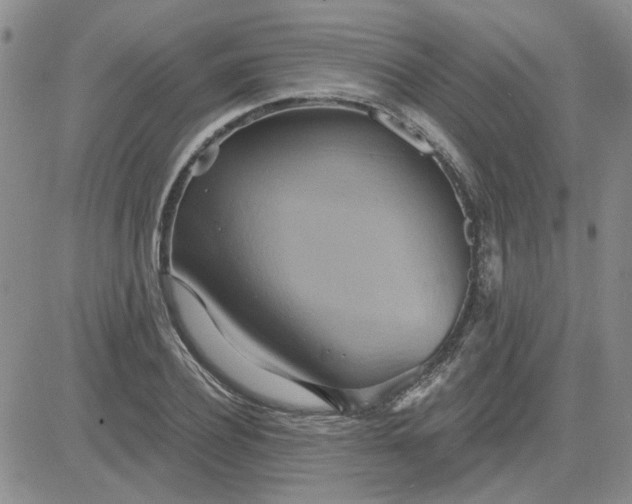 X0000081300932200701251714