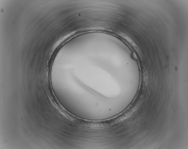 X0000081300933200701251714