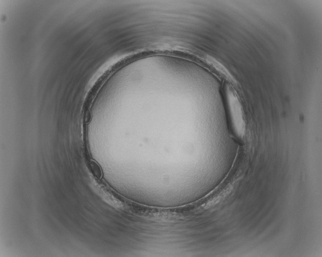 X0000081300934200701251714