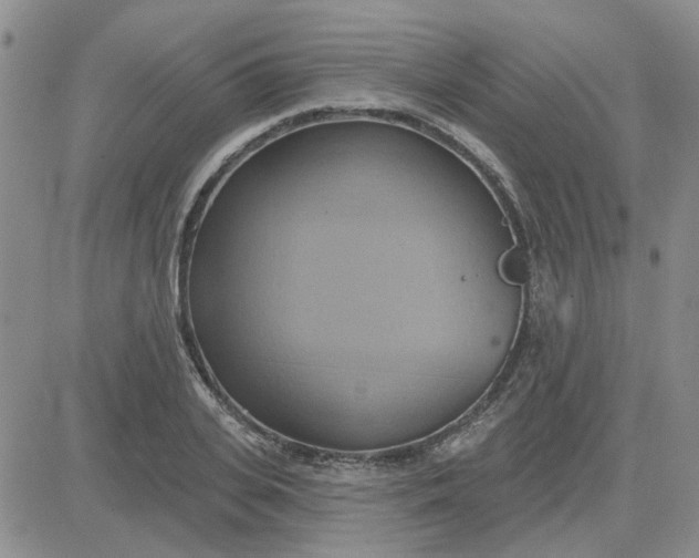 X0000081300935200701251714