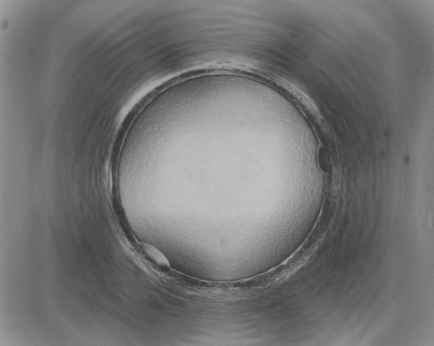 X0000081300936200701251714