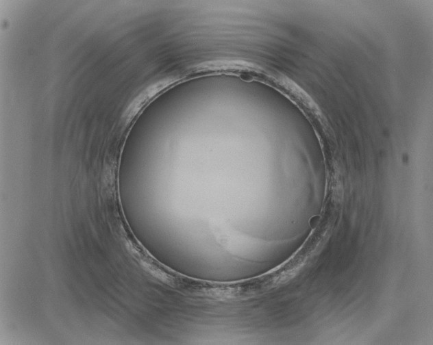 X0000081300937200701251714