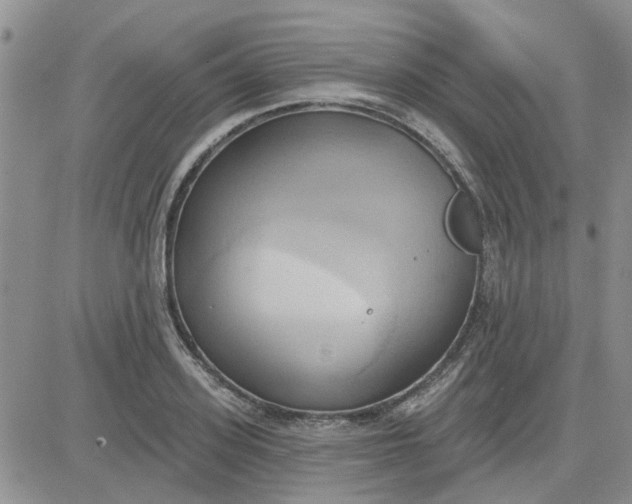 X0000081300939200701251714