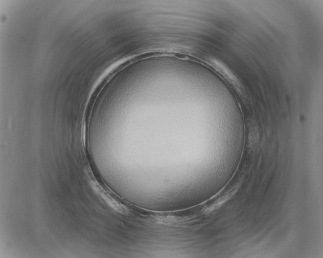 X0000081300940200701251714