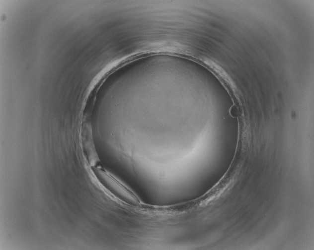 X0000081300941200701251714