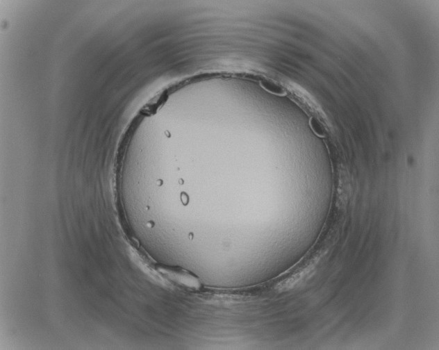 X0000081300942200701251714