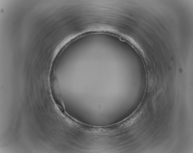 X0000081300943200701251714