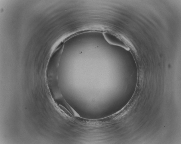 X0000081300944200701251714