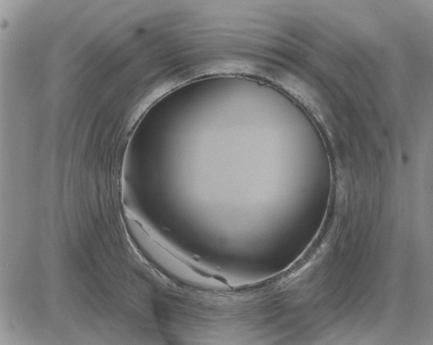 X0000081300945200701251714