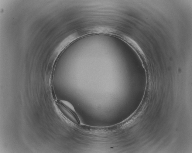 X0000081300946200701251714