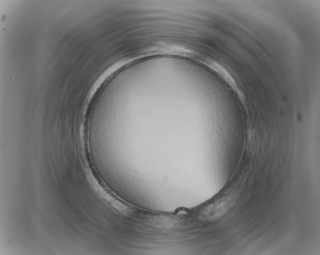 X0000081300947200701251714