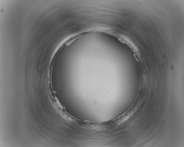 X0000081300948200701251714