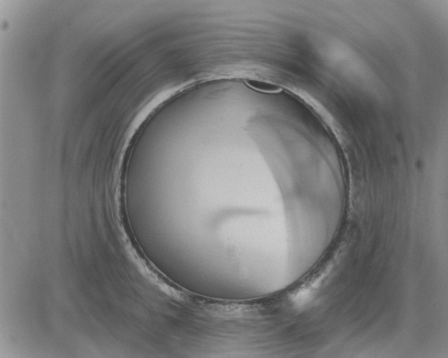 X0000081300949200701251714