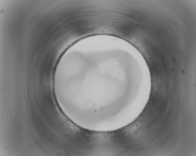 X0000081300950200701251714