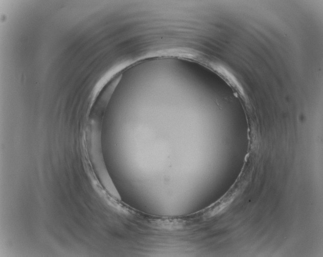 X0000081300952200701251714