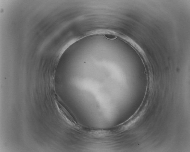 X0000081300953200701251715