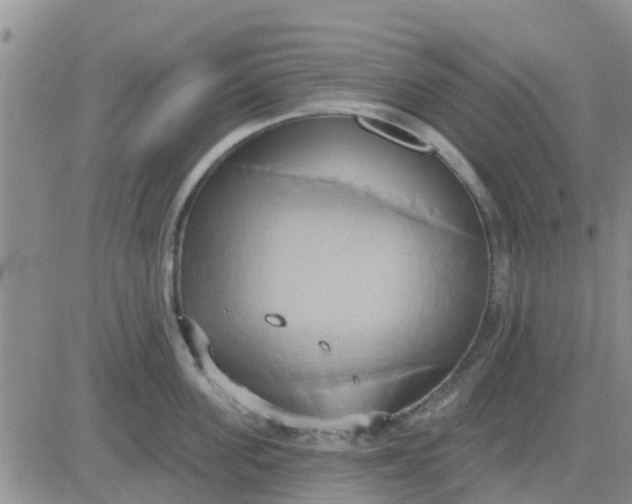 X0000081300955200701251715