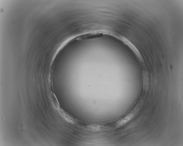 X0000081300956200701251715