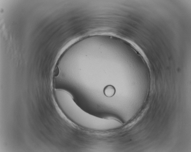 X0000081300957200701251715