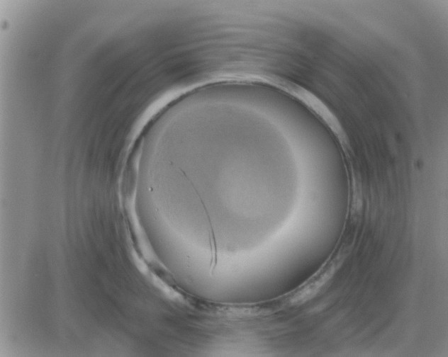 X0000081300958200701251715