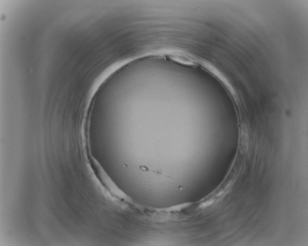 X0000081300959200701251715