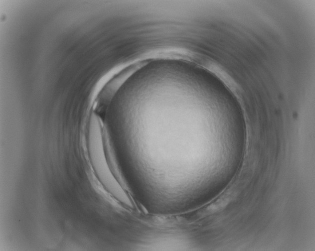 X0000081300960200701251715