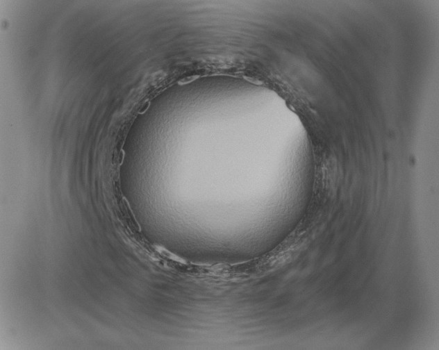 X0000081300961200701251714