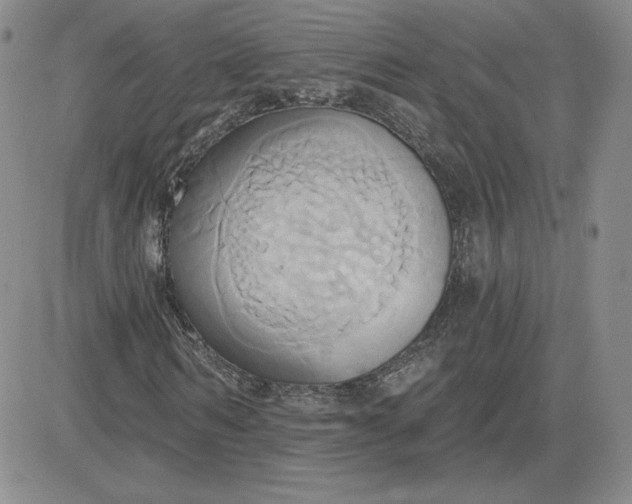 X0000081300962200701251714