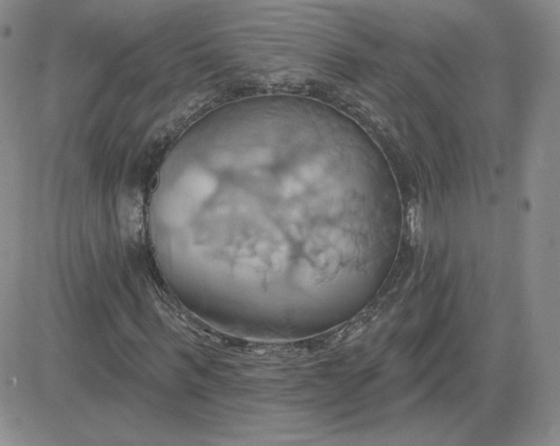 X0000081300963200701251714