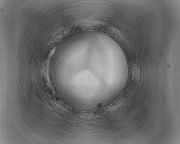 X0000081300964200701251714