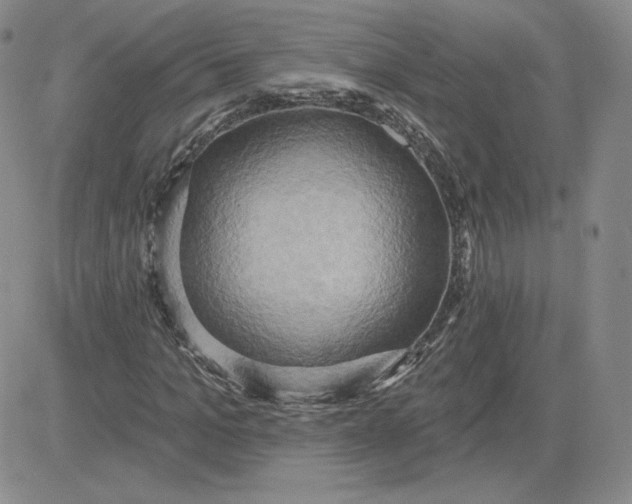 X0000081300965200701251714