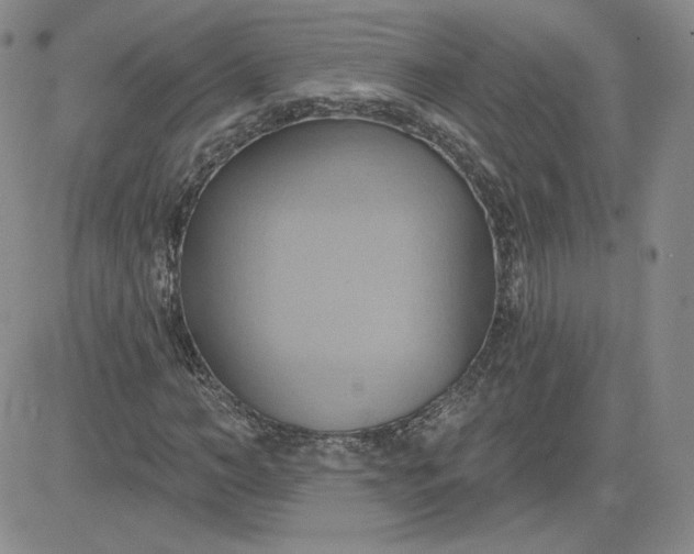 X0000081300966200701251714