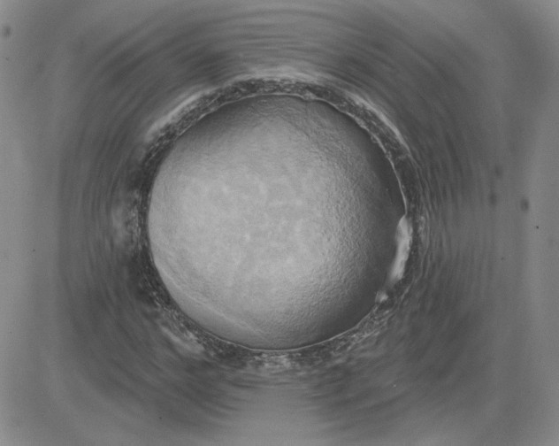 X0000081300968200701251714