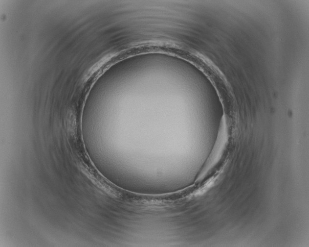 X0000081300969200701251714