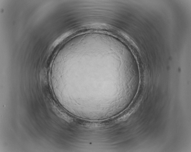 X0000081300970200701251714