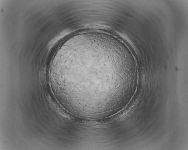 X0000081300971200701251714