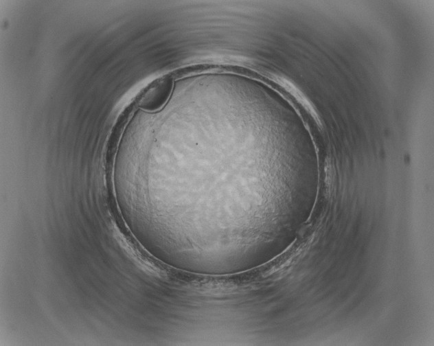 X0000081300972200701251714