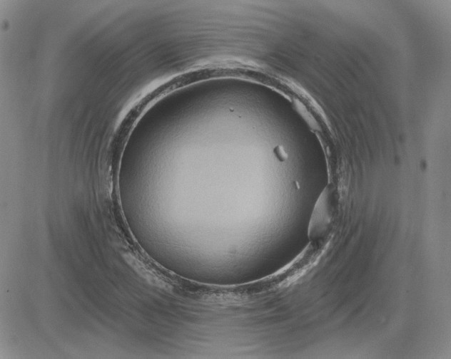 X0000081300973200701251714