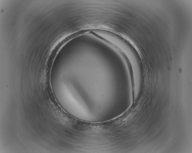 X0000081300975200701251714