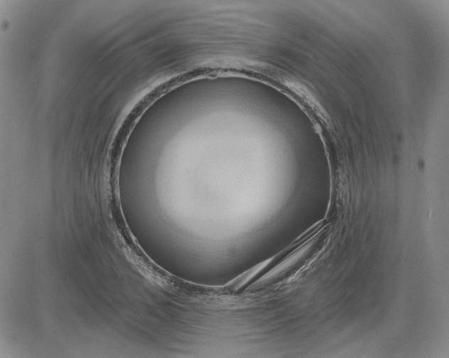 X0000081300976200701251714