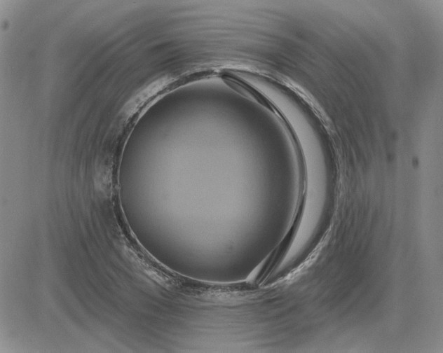 X0000081300977200701251714