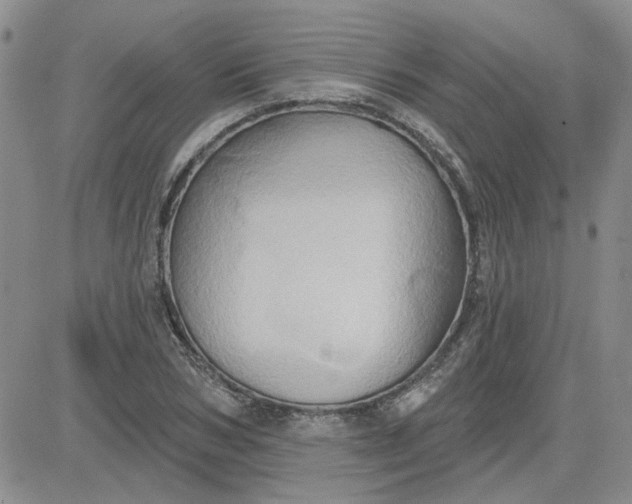 X0000081300978200701251714